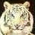 White Tigress's Avatar